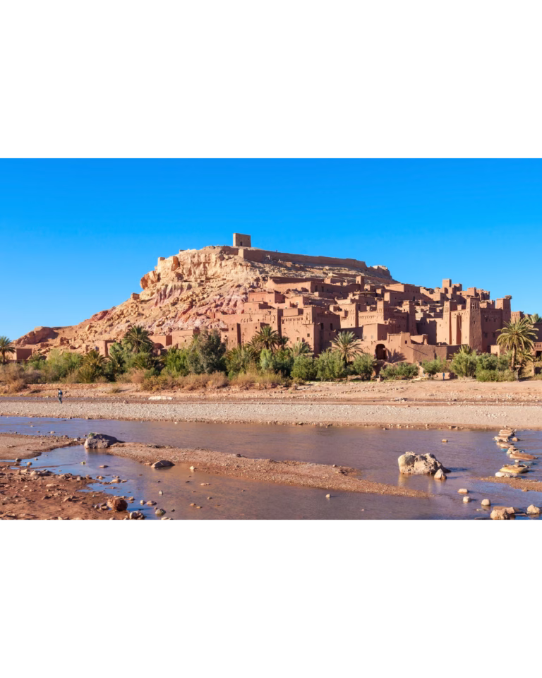 28.webp
